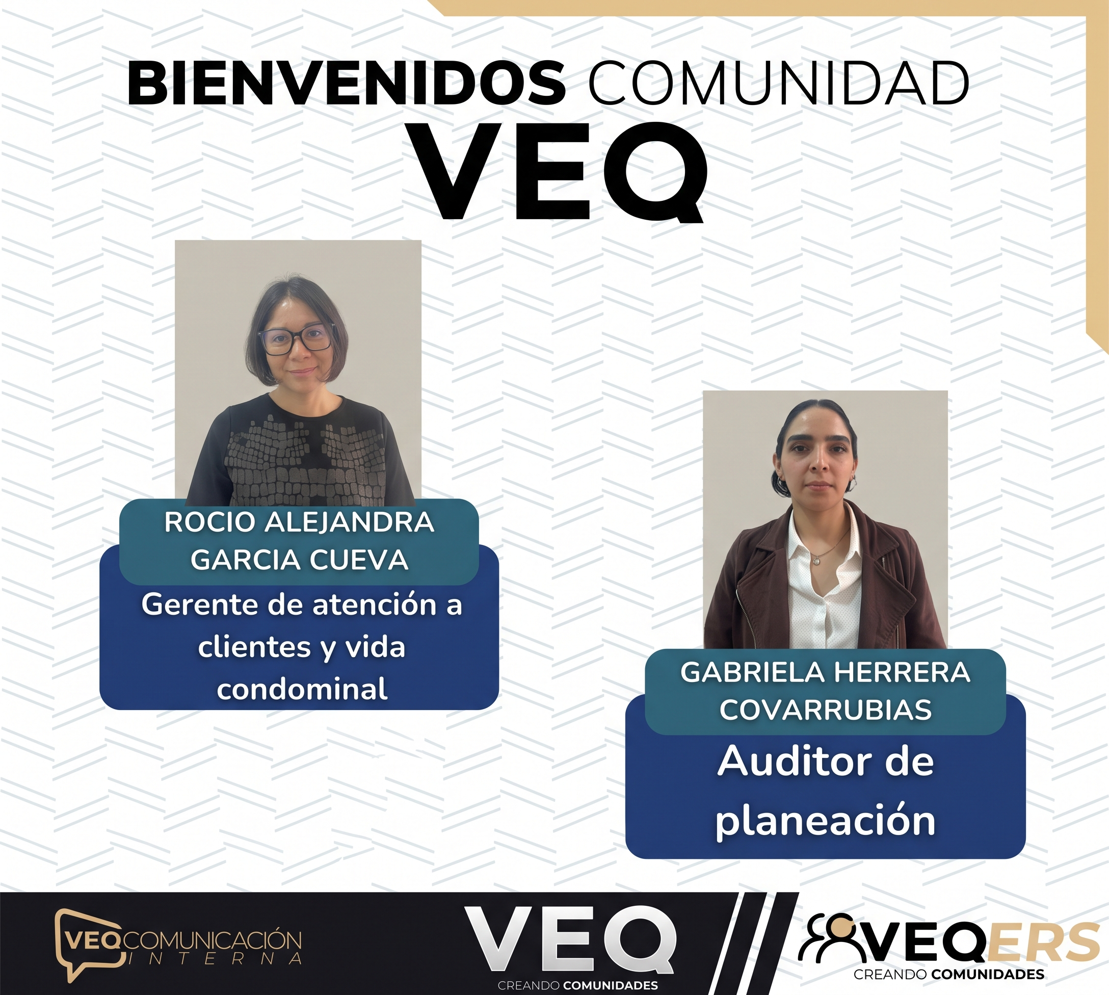 Ingresos VEQ.
